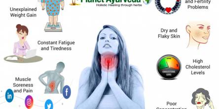 10 Foods To Avoid If You Have Hypothyroidism 