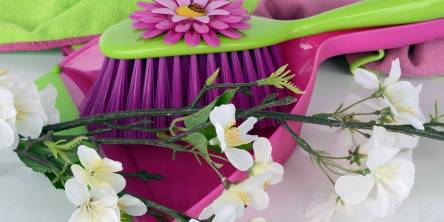 Cleaning brush and paddle