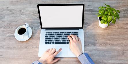 Man using a laptop with a cup of coffee to his left and a small desk plant to his right.