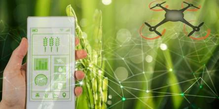 Modern agriculture