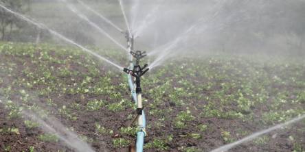 irrigation