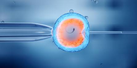 IVF Treatment