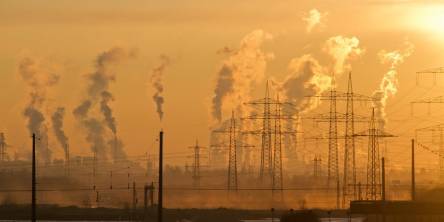 How Businesses Can Tackle Climate Change at The Moment