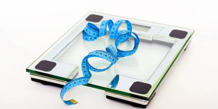 Body Fat Calculator