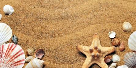 Educative Details About Increasing Sales For A Travel Related Business