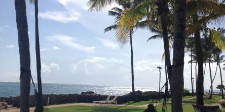 Tropical Relaxation