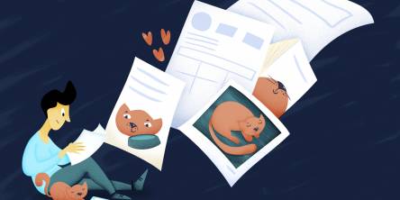 Native ads about cats