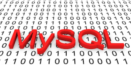 mysql database