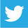 Twitter Icon